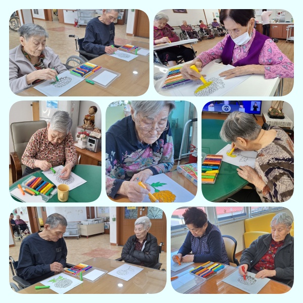 국화꽃색칠하기.jpg