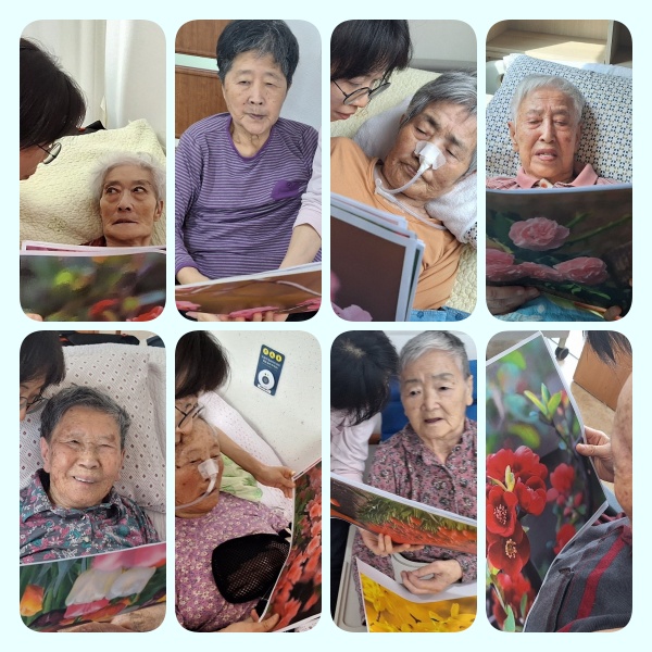 봄꽃보기.jpg