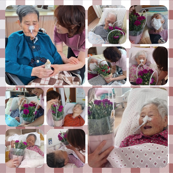 카네이션화분보며이야기.jpg