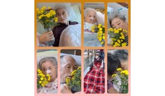 국화생화 향기 맡기.jpg