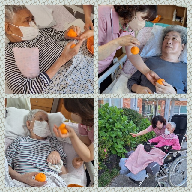 마음나누기-모형감귤.jpg