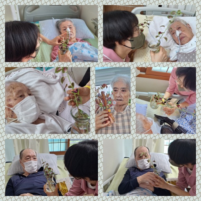 식물보여드리기.jpg